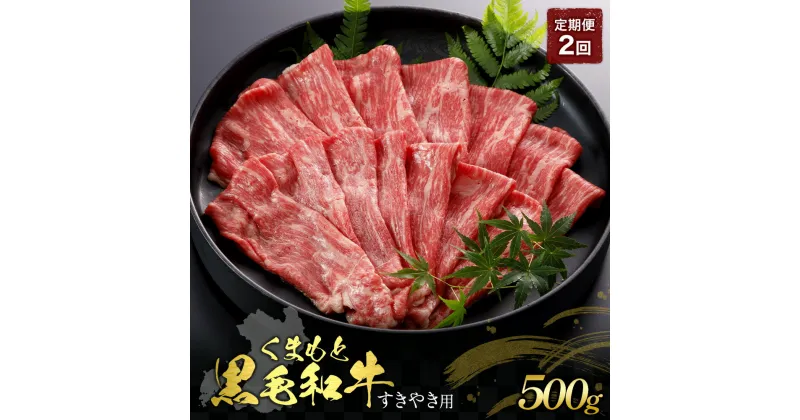 【ふるさと納税】【定期便2回】くまもと黒毛和牛 すきやき用 500g 肉 お肉 おにく 国産牛 牛肉 黒毛和牛 ブランド牛 スライス すき焼き肉 すき焼き グルメ 熊本県産 冷凍 定期便 毎月届く 毎月 定期 2回 送料無料