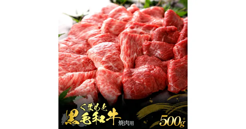 【ふるさと納税】くまもと黒毛和牛 焼肉用 500g 肉 お肉 おにく 国産牛 牛肉 黒毛和牛 ブランド牛 焼き肉 焼肉 グルメ 熊本県産 冷凍 送料無料