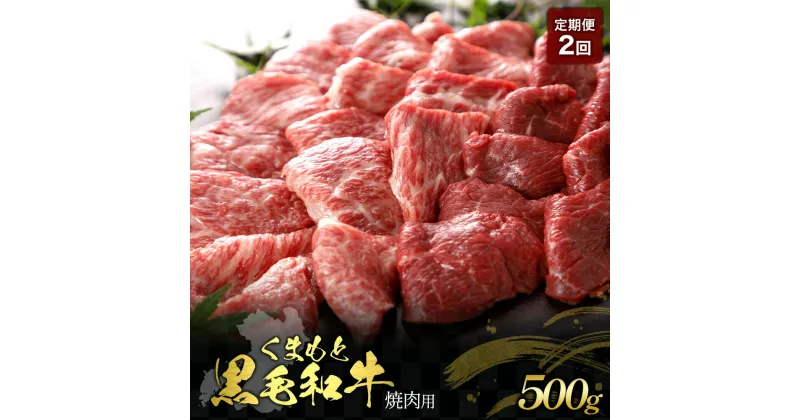 【ふるさと納税】【定期便2回】くまもと黒毛和牛 焼肉用 500g 肉 お肉 おにく 国産牛 牛肉 黒毛和牛 ブランド牛 焼き肉 焼肉 グルメ 熊本県産 冷凍 定期便 毎月届く 毎月 定期 2回 送料無料