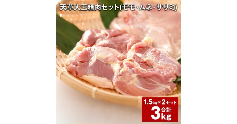 【ふるさと納税】天草大王 精肉セット 計3kg 1.5kg×2セット モモ ムネ ササミ 鶏もも肉 鶏むね肉 ささみ お肉 肉 鶏肉 地鶏 熊本 九州 国産 冷凍 熊本県 上天草市 送料無料