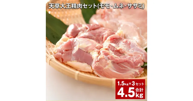 【ふるさと納税】天草大王 精肉セット 計4.5kg 1.5kg×3セット モモ ムネ ササミ 鶏もも肉 鶏むね肉 ささみ お肉 肉 鶏肉 地鶏 熊本 九州 国産 冷凍 熊本県 上天草市 送料無料