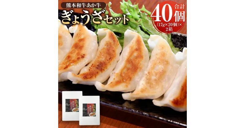 【ふるさと納税】熊本和牛あか牛 ぎょうざ セット 熊本あか牛 餃子 20個入り×2箱 合計40個 あか牛 赤牛 肉 お肉 牛肉 グルメ 惣菜 中華 中華料理 冷凍 冷凍餃子 和牛 送料無料