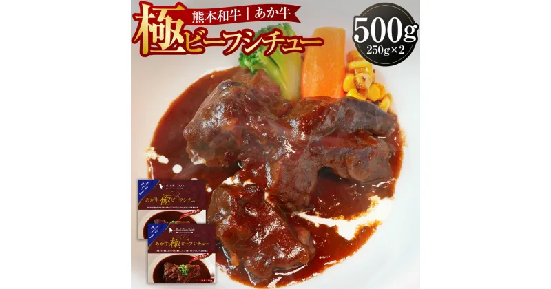 【ふるさと納税】あか牛極ビーフシチュー250g×2 合計500g 赤牛 あか牛 ビーフ シチュー 惣菜 グルメ 肉 お肉 牛肉 常温保存可 簡単調理 温めるだけ レトルト 送料無料