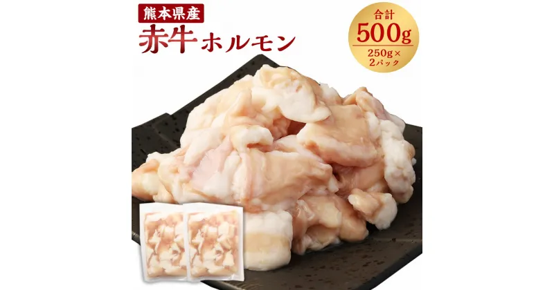 【ふるさと納税】 熊本県産 赤牛 ホルモン 合計500g 250g×2パック ホルモン お肉 肉 牛肉 もつ鍋 もつ煮込み 焼肉 牛小腸 小腸 もつ 冷凍 送料無料