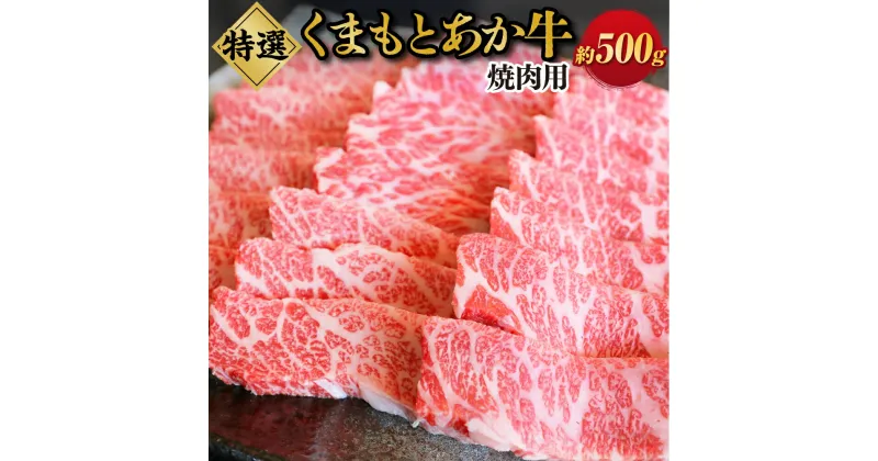 【ふるさと納税】G21Q 厳選されたGI認証 くまもとあか牛 特選焼肉用 約500g 肉 お肉 牛肉 焼き肉 あか牛 バーベキュー BBQ GI認証 冷凍 送料無料