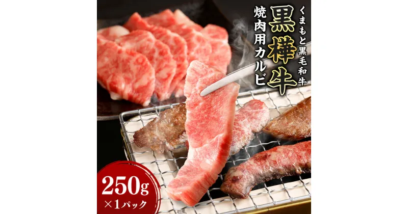 【ふるさと納税】黒樺牛 焼肉用カルビ 250g×1パック 肉 お肉 牛肉 和牛 黒毛和牛 国産 冷凍 焼き肉 焼肉 冷凍 熊本県 送料無料