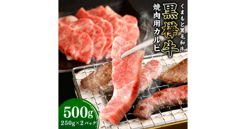 【ふるさと納税】黒樺牛 焼肉用カルビ 500g（250g×2パック） 肉 お肉 牛肉 和牛 黒毛和牛 国産 冷凍 焼き肉 焼肉 冷凍 熊本県 送料無料