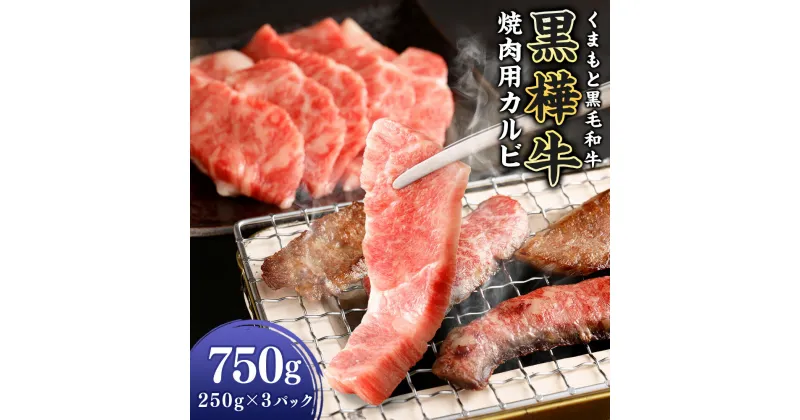 【ふるさと納税】黒樺牛 焼肉用カルビ 750g（250g×3パック） 肉 お肉 牛肉 和牛 黒毛和牛 国産 冷凍 焼き肉 焼肉 冷凍 熊本県 送料無料