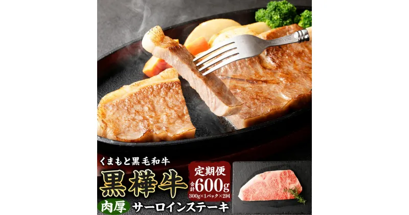 【ふるさと納税】黒樺牛 【2回定期便】肉厚サーロインステーキ 300g 計600g 定期便 肉 お肉 牛肉 黒毛和牛 和牛 ステーキ サーロイン 国産 冷凍 熊本県 送料無料