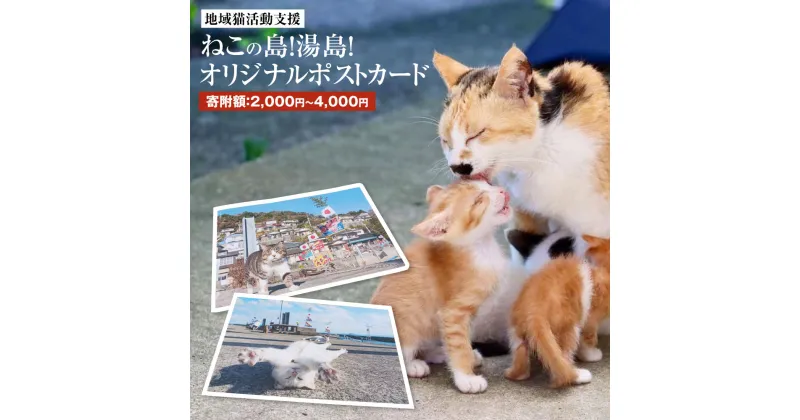 【ふるさと納税】ねこの島！湯島！オリジナルポストカード【地域猫活動支援】 2枚 選べる寄附額 カード ポストカード ねこ 猫 雑貨 送料無料