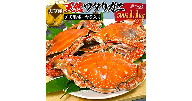 【ふるさと納税】天草産 天然ワタリガニ メス限定内子入り 500g～1.1kg 2杯～5杯 選べる内容量 蟹 カニ 渡り蟹 海産物 海鮮 海の幸 天然 内子 冷凍 送料無料