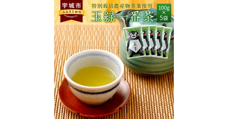 【ふるさと納税】 緑茶 くまモン 玉緑一番茶 100g×5袋セット 日本茶 一番茶 農薬を使わず栽培した茶葉 送料無料