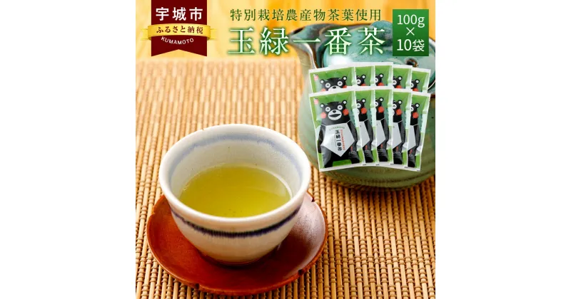 【ふるさと納税】 緑茶 くまモン 玉緑一番茶 100g 10袋セット 日本茶 一番茶 農薬を使わず栽培した茶葉 送料無料