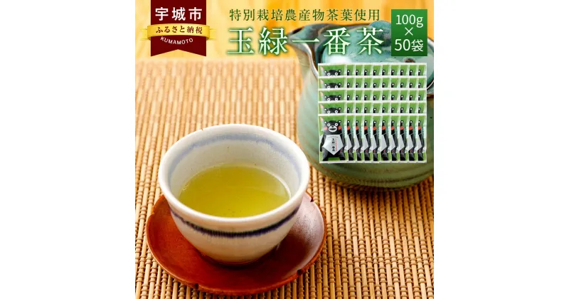 【ふるさと納税】くまモン 玉緑 一番茶 100g 50袋セット 緑茶 日本茶 一番茶 農薬を使わず栽培した茶葉 送料無料