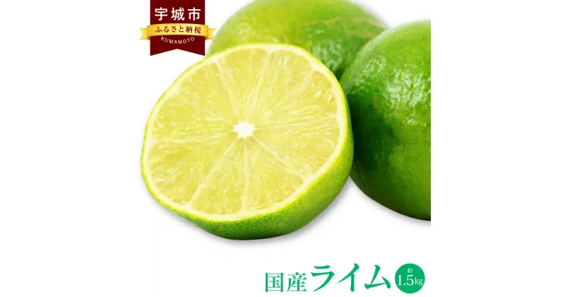 【ふるさと納税】国産 ライム 約1.5kg 10～20玉 吉田レモニー 【2024年9月下旬～2025年1月下旬発送】ライム 柑橘 宇城市産 熊本県産 九州産 国産 送料無料