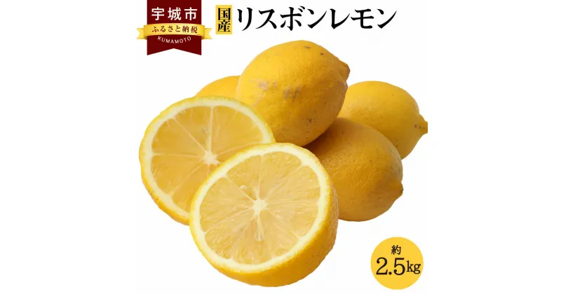 【ふるさと納税】 国産 リスボン レモン 約2.5kg 20～30玉 【吉田レモニー】 柑橘 宇城市産 熊本県産 九州産 国産 送料無料 【2024年11月上旬～2025年7月上旬発送】