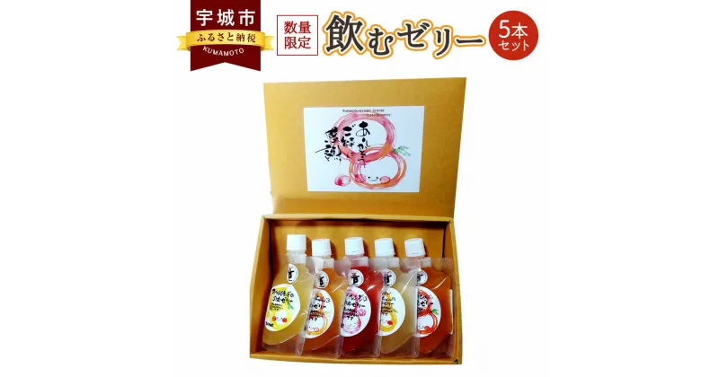 【ふるさと納税】飲むゼリー5本セット (果汁50% 5種類×1本) ブラッドオレンジゼリー スイートレモネードゼリー あいかちゃんゼリー このかちゃんゼリー 日向夏ゼリー 数量限定 柑橘 レモン果汁入り 詰め合わせ ギフト 国産 九州産 熊本県産 送料無料