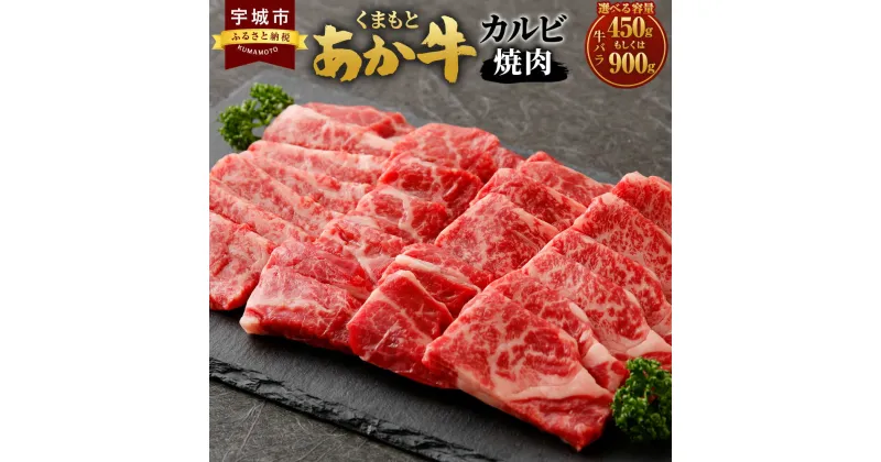 【ふるさと納税】 カルビ 【地元ブランド くまもとあか牛 カルビ焼肉】 【選べる容量 450g もしくは 900g】 あか牛 牛肉 和牛 BBQ 冷凍 霜降り肉 熊本県 熊本 牛カルビ 赤牛 ブランド牛 あかうし