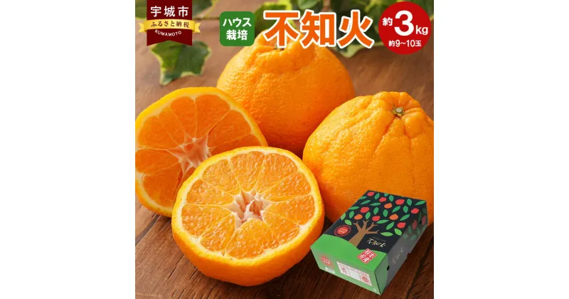 【ふるさと納税】【先行予約】宇城市産 ハウス栽培 不知火 約3kg 9～10玉前後 うちやま果樹園 しらぬい みかん ミカン 蜜柑 果物 くだもの フルーツ 熊本県産 九州産 国産 送料無料 【2025年2月下旬から6月下旬発送予定】