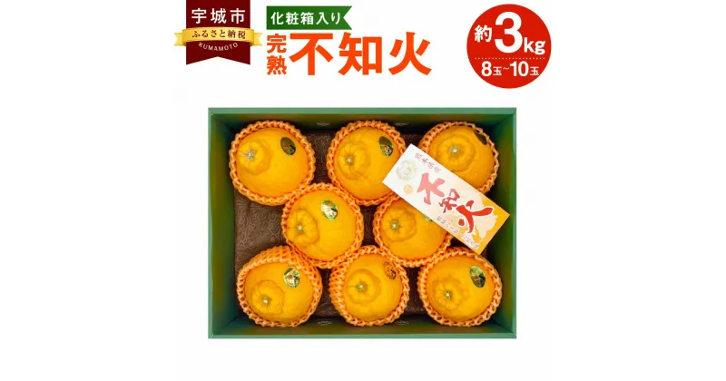 【ふるさと納税】【先行予約】 完熟 不知火 化粧箱入り 約3kg 2L～5Lサイズ 8~10玉 高橋果樹園 しらぬい 柑橘 熊本県産 九州産 国産 送料無料 【2025年1月上旬から3月下旬発送予定】