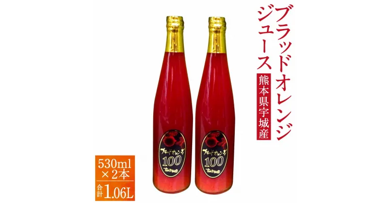 【ふるさと納税】ブラッドオレンジ 100%ジュース 530ml×2本 合計1.06リットル 国産 九州産 熊本産 無添加 柑橘 オレンジ フルーツ 果物 ジュース 100%果汁 送料無料