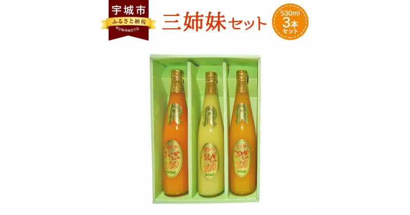 【ふるさと納税】 オレンジジュース 三姉妹 530ml 3本セット 合計1.59リットル 吉田果樹園 ジュース みかんジュース あいかちゃん このかちゃん はるかちゃん 温州みかん 不知火 はるか 国産 九州産 熊本産 柑橘 果物 送料無料