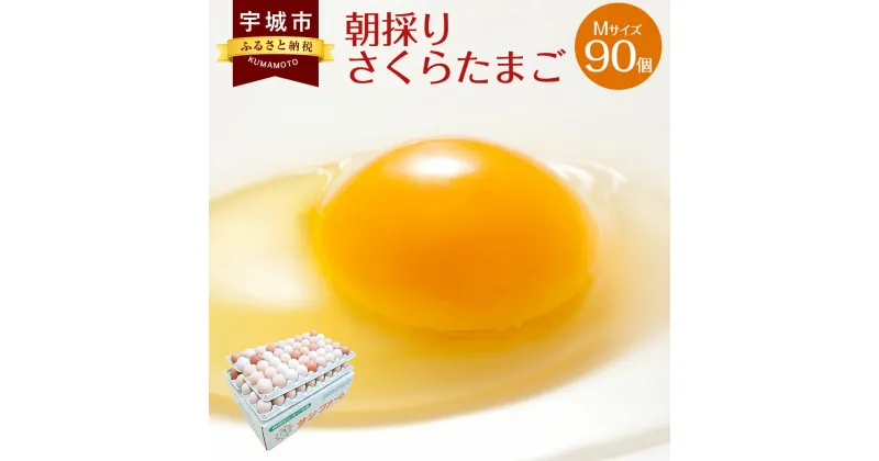 【ふるさと納税】 卵 朝採り さくらたまご 90個入 10個破損補償含む Mサイズ 国産 冷蔵 産地直送 鶏卵 送料無料