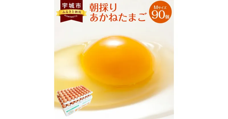 【ふるさと納税】 卵 朝採り あかねたまご 90個入 10個破損補償含む Mサイズ 国産 冷蔵 産地直送 鶏卵 送料無料