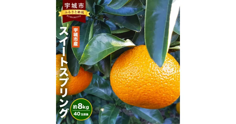 【ふるさと納税】宇城市産 スイートスプリング 約8kg 40玉前後 ひでみかん フルーツ 果物 くだもの 熊本県産 九州産 国産 送料無料 【12月上旬から2025年1月下旬発送予定】