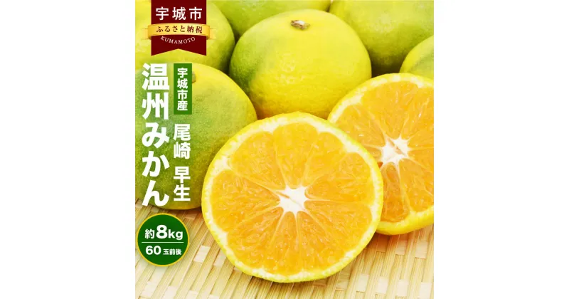 【ふるさと納税】宇城市産 尾崎 早生 温州みかん 約8kg 60玉前後 ひでみかん 早生みかん みかん ミカン 蜜柑 フルーツ 果物 くだもの 熊本県産 九州産 国産 送料無料 【11月上旬から12月下旬発送予定】