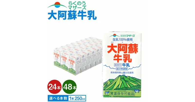 【ふるさと納税】 牛乳 大阿蘇牛乳 24本 もしくは 48本 1ケース（250ml×24本入） 成分無調整牛乳 生乳100%使用 乳飲料 乳性飲料 らくのうマザーズ ドリンク 飲み物 飲料 セット 紙パック 常温保存可能 ロングライフ 送料無料