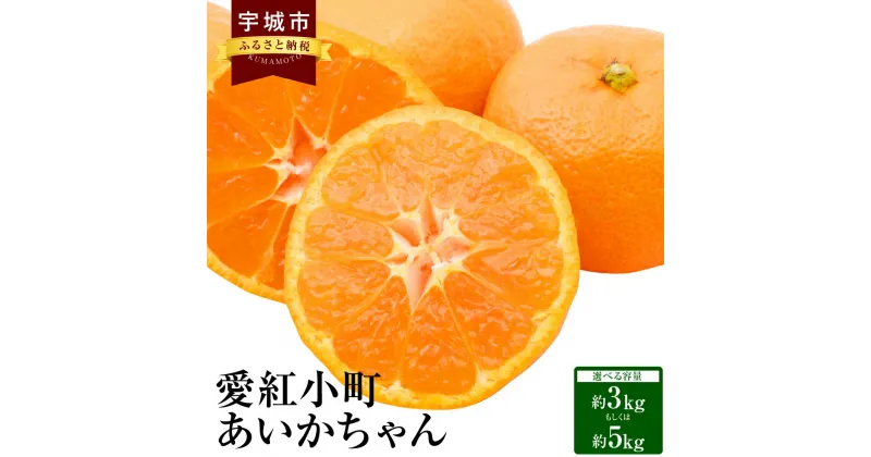 【ふるさと納税】 みかん 愛紅小町あいかちゃん 【選べる内容量】約3kg もしくは 約5kg 吉田レモニー 温州みかん 柑橘 宇城市産 熊本県産 九州産 国産 送料無料 【2024年10月上旬～2025年1月下旬発送】