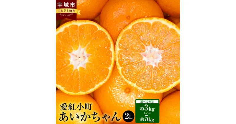 【ふるさと納税】 みかん 愛紅小町あいかちゃん 2Lサイズ【選べる内容量】 約3kg もしくは 約5kg 吉田レモニー 温州みかん 柑橘 宇城市産 熊本県産 九州産 国産 送料無料 【2024年10月上旬～2025年1月下旬発送】