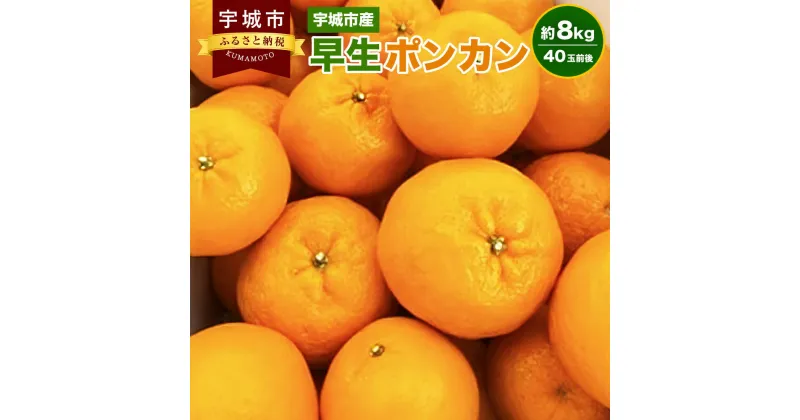 【ふるさと納税】宇城市産 早生 ポンカン 約8kg 40玉前後 ひでみかん ぽんかん フルーツ 果物 くだもの 熊本県産 九州産 国産 送料無料 【12月上旬から12月下旬発送予定】