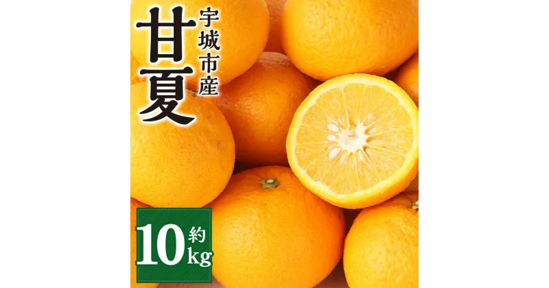 【ふるさと納税】【先行予約】 宇城市産 甘夏 約10kg 20～25玉前後 L～2Lサイズ 谷川果樹園 みかん 蜜柑 柑橘 フルーツ あまなつ 果物 熊本県産 九州産 国産 送料無料 【2025年3月上旬～5月上旬発送予定】