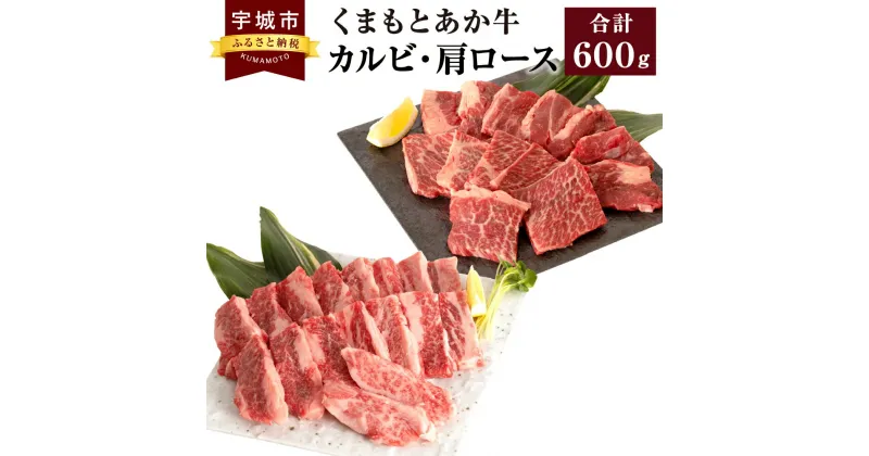 【ふるさと納税】くまもとあか牛 カルビ 300g 肩ロース 300g 合計600g 肉 牛肉 和牛 赤牛 焼肉 BBQ 熊本県産 九州産 国産 冷凍 送料無料