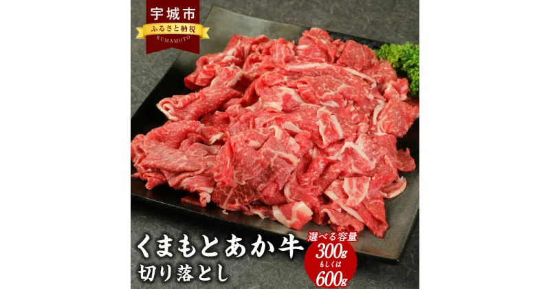 【ふるさと納税】牛肉 切り落とし 【地元ブランド】 くまもとあか牛 切落し 【選べる容量 300g もしくは 600g (300g×2パック) 】 あか牛 赤牛 和牛 牛 モモ肉 牛モモ 牛カタ バラ肉 牛バラ セット 食べ比べ 熊本県産 九州産 国産 冷凍 送料無料