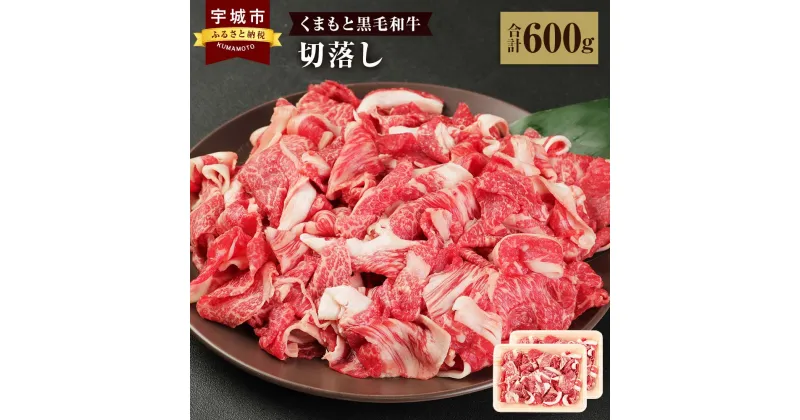 【ふるさと納税】くまもと黒毛和牛 切落し 合計600g (300g×2パック) 牛肉 牛 和牛 黒毛和牛 冷凍 熊本県産 九州産 国産 送料無料