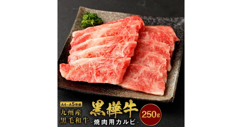 【ふるさと納税】 A4〜A5等級 焼肉用 カルビ 合計250g 九州産黒毛和牛 黒樺牛 牛肉 焼肉 焼き肉 和牛 牛 黒毛和牛 国産 冷凍 送料無料