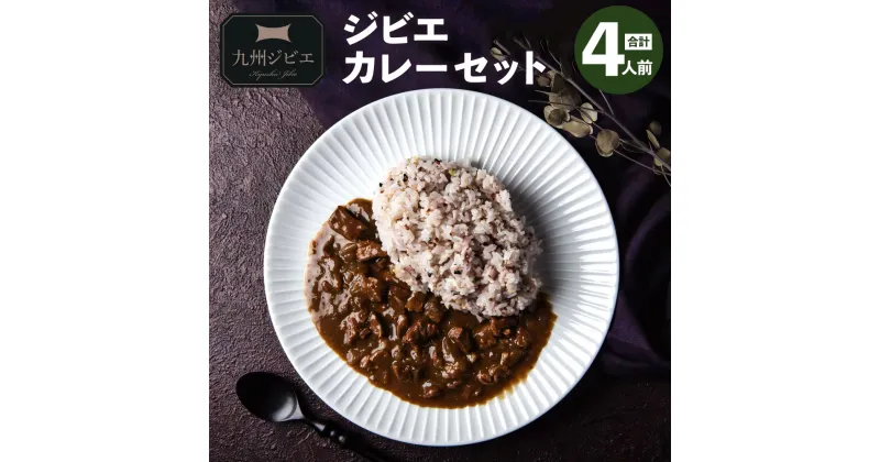 【ふるさと納税】ジビエカレー 4パック（200g×2パック×2箱）合計800g ジビエ イノシシ 猪肉 肉 カレー レトルト 惣菜 常温 温めるだけ 宇城市 熊本県産 九州 国産 送料無料