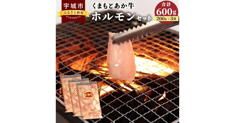 【ふるさと納税】くまもと あか牛 ホルモン セット 合計600g (200g×3袋) 小腸 焼肉 鉄板焼き もつ鍋 お肉 牛肉 和牛 赤牛 熊本県産 九州産 国産 冷凍 送料無料