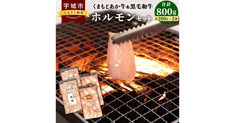 【ふるさと納税】くまもとあか牛 黒毛和牛 ホルモン セット 合計800g (200g×4袋) ホルモン 小腸 丸腸 焼肉 鉄板焼き もつ鍋 お肉 牛肉 和牛 赤牛 熊本県産 九州産 国産 冷凍 送料無料