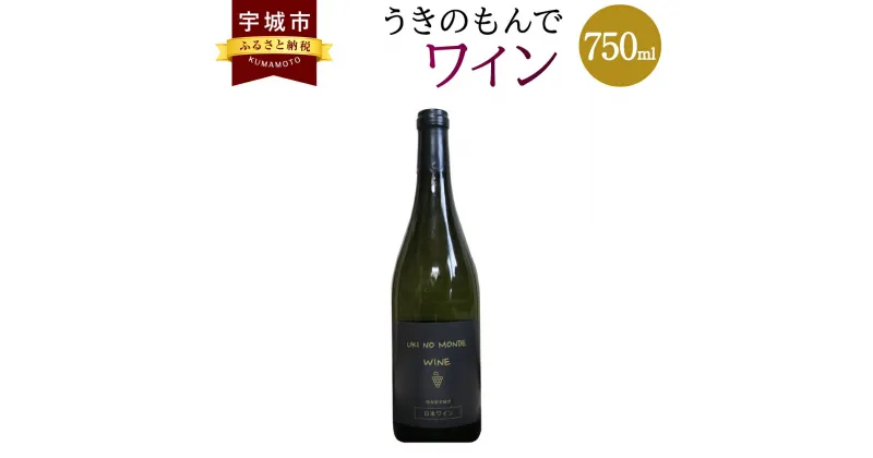 【ふるさと納税】うきのもんで ワイン 赤 750ml 1本 宇城市産 熊本県産 国産 赤ワイン お酒 フルーティー 甘い香り 送料無料