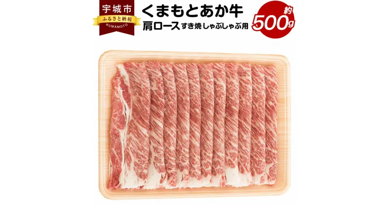 【ふるさと納税】くまもとあか牛 肩ロース すき焼・しゃぶしゃぶ用 約500g あか牛 牛肉 和牛 赤身肉 肉 ロース 肩ロース すき焼き しゃぶしゃぶ 国産 九州産 熊本県産 詰め合わせ 食品 冷凍 送料無料