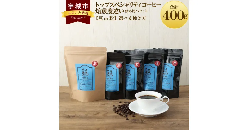 【ふるさと納税】 コーヒー トップスペシャリティコーヒー 焙煎度違い飲み比べセット【豆or粉】選べる挽き方 コーヒー 珈琲 コーヒー豆 珈琲豆 コーヒー粉 珈琲粉 直火焙煎 送料無料