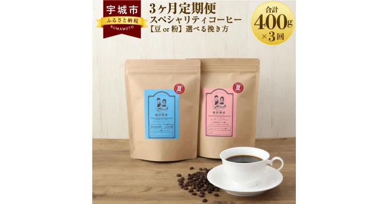 【ふるさと納税】 コーヒー 【3ヶ月定期便】スペシャリティコーヒー 【豆or粉】選べる挽き方 珈琲 コーヒー豆 珈琲豆 コーヒー粉 珈琲粉 直火焙煎 送料無料