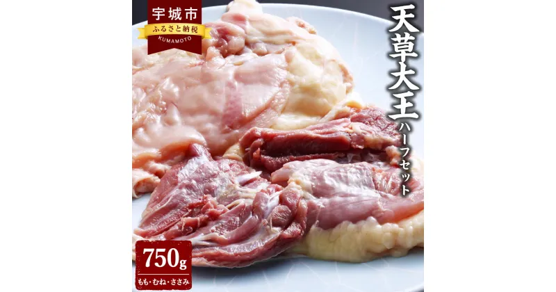 【ふるさと納税】天草大王 ハーフセット 750g ミックス(もも、むね、ささみ) 鶏肉 とりもも とりむね 胸肉 ささみ 国産 九州産 熊本県産 天草 地鶏 BBQ 冷凍 送料無料