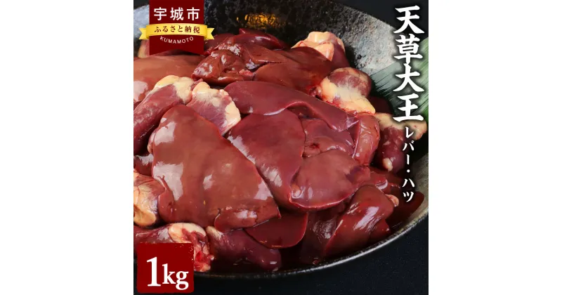 【ふるさと納税】天草大王 レバー ハツ 1kg 鶏肉 国産 九州産 熊本県産 天草 地鶏 焼き鳥 パテ 冷凍 送料無料