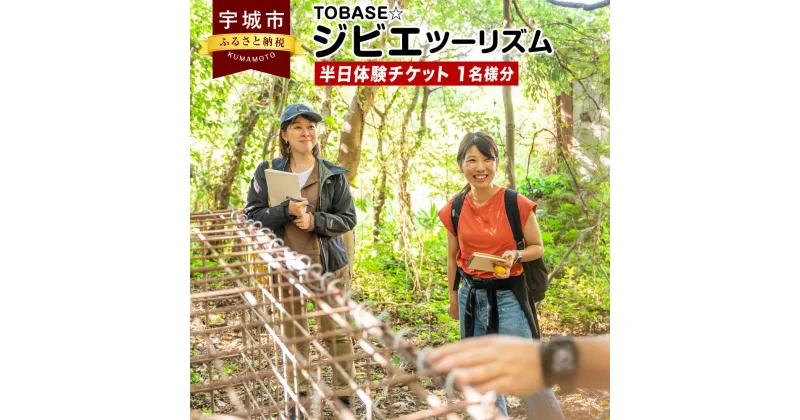 【ふるさと納税】 体験 TOBASE☆ジビエツーリズム半日体験チケット（1名様分） 体験チケット アクティビティジビエ 猪 イノシシ いのしし 焚き火 バーベキュー BBQ 子供 子ども こども キッズ 学び 送料無料