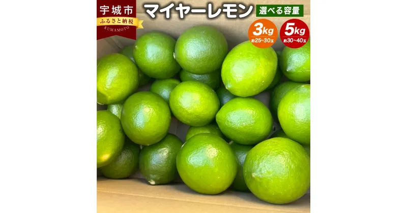 【ふるさと納税】マイヤーレモン 3kg または 5kg ひかる農園 25玉～40玉 レモン 檸檬 フルーツ 果物 くだもの 宇城市産 熊本県産 九州産 国産 送料無料